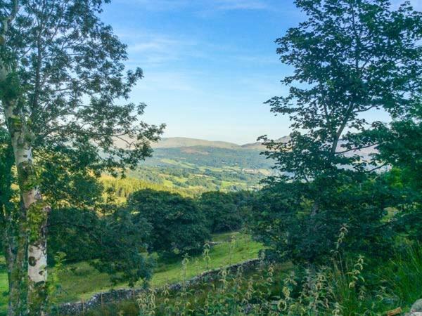 Tyn Llwyn Villa ดอลเกซเซย์ ภายนอก รูปภาพ